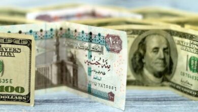 سعر الدولار اليوم أمام الجنيه المصري