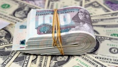 سعر الدولار اليوم أمام الجنيه المصري