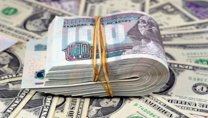 سعر الدولار اليوم أمام الجنيه المصري