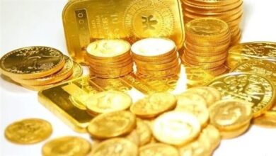 سعر الجنيه الذهب في مصر