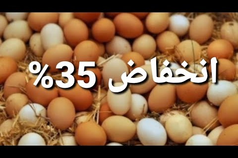 آخر تحديث لأسعار كرتونة البيض الأحمر في المزارع والمحلات خلال تعاملات الثلاثاء وارتفاعات جديدة