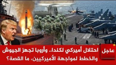 أحدث أسعار كرتونة البيض في 24 يناير 2026 الأحمر يتصدر بـ 108 جنيهات وتقرير شامل حول الأسعار الأسبوعية للمستهلك