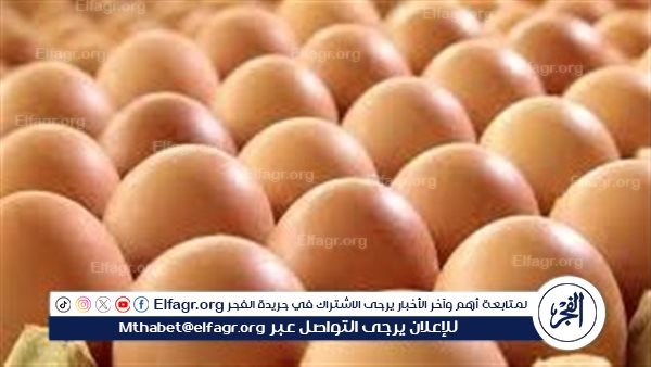 أسعار البيض الأبيض والأحمر اليوم الجمعة 23 يناير 2026 في محافظة المنيا بأسواقها المتجددة