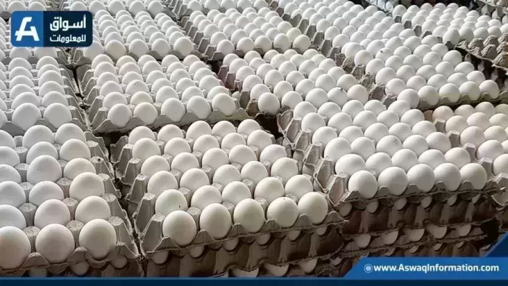 أسعار البيض اليوم الأحد في المزرعة تتغير بشكل ملحوظ مع أسعار السلع الأساسية