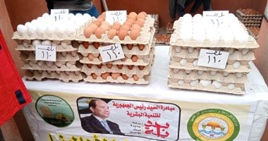 أسعار البيض في كفر الشيخ اليوم الخميس 22 يناير 2026 تبدأ من 3.5 جنيه وتواصل استقرارها