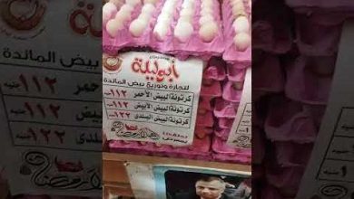 أسعار البيض في كفر الشيخ تصل إلى 110 جنيه للكرتونة في معارض أهلا رمضان بأسعار مميزة