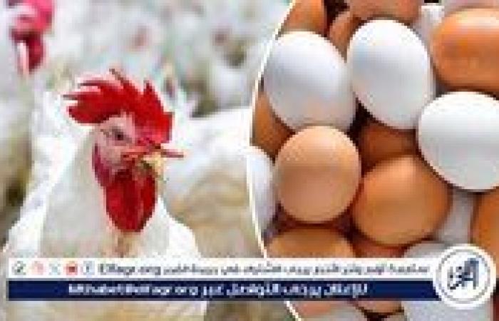 أسعار الدواجن والبيض في أسوان اليوم الجمعة 23 يناير 2026 وتغيراتها المؤثرة على الأسواق المحلية