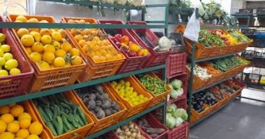 أسعار الفاكهة في سوهاج اليوم البرتقال بـ15 جنيها واليوسفي بـ10 جنيهات