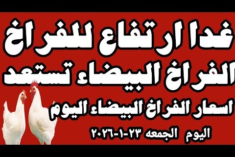 أسعار كرتونة البيض اليوم الجمعة 23 يناير 2026 البلدي بـ130 جنيهاً وأسعار المزارع في تطور مستمر