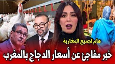 أسعار كرتونة البيض اليوم في 24 يناير 2026 وتأثيرها الواضح على ميزانية الأسر