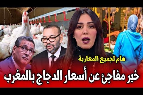 أسعار كرتونة البيض اليوم في 24 يناير 2026 وتأثيرها الواضح على ميزانية الأسر