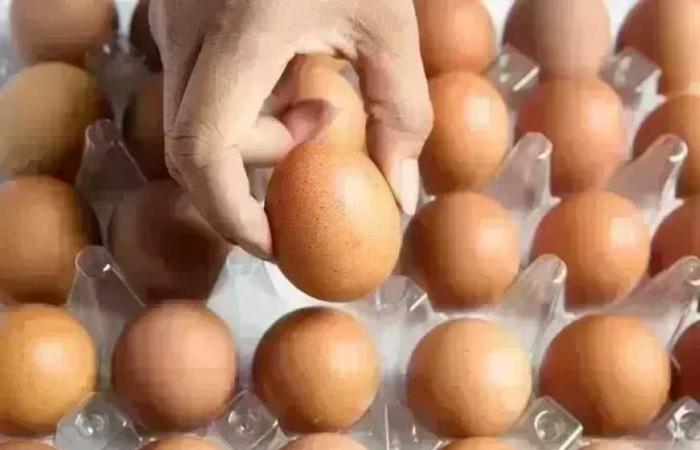 أسعار كرتونة البيض في الأسواق اليوم الجمعة 23 يناير تعرف على سعر البيض الأبيض اليوم