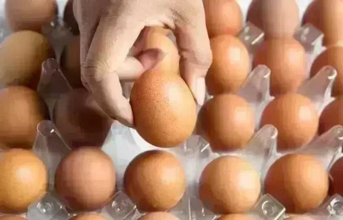 أسعار كرتونة البيض في الأسواق اليوم الخميس 22 يناير والأبيض بكام النهاردة في الأسواق
