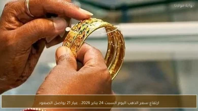 ارتفاع مستمر في سعر الذهب اليوم السبت 24 يناير 2026 وعيار 21 يواصل تحقيق المكاسب القياسية