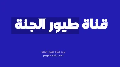 استقبل تردد قناة طيور الجنة 2026 على نايل سات لتعليم وترفيه أطفالك بجودة عالية HD