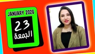 استقرار سعر كرتونة البيض في بورصة الدواجن اليوم الجمعة 23 يناير وأسباب تثبيت الأسعار وتحليل سوق البيض بالتفصيل