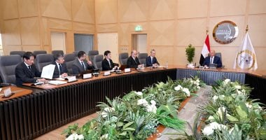 الوزير يبحث مع تويوتا إيجيبت وتويوتا تسوشو فرص ضخ استثمارات جديدة لتعزيز السوق المصرية