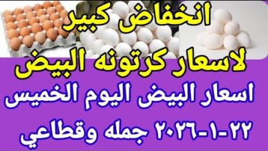 انخفاض ملحوظ في سعر كرتونة البيض اليوم الخميس الموافق 22 يناير 2026 في الأسواق المحلية