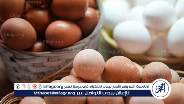 تحديث جديد لأسعار البيض البلدي والأبيض في المنيا اليوم الثامن عشر من يناير 2026