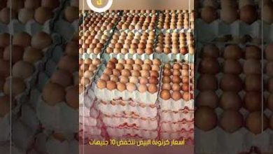 تحديثات أسعار كرتونة البيض تسجل أرقامًا قياسية غير مسبوقة في تعاملات الأحد 18 يناير