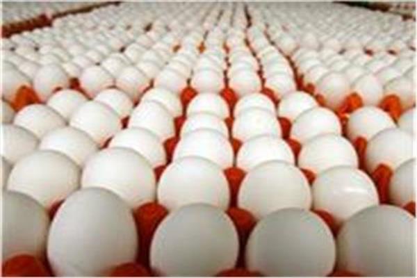 تراجع جديد في أسعار البيض خلال تعاملات الخميس 22 يناير وأسواق تشهد تقلبات متزايدة