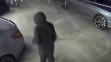 سرقت ثماني سيارات فاخرة بقيمة تزيد على الملايين في عملية هزت الشارع