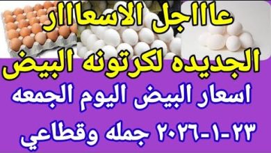 سعر كرتونة البيض اليوم في السوق المحلية وتفاصيل أساسية تهم كل مستهلك في 2026