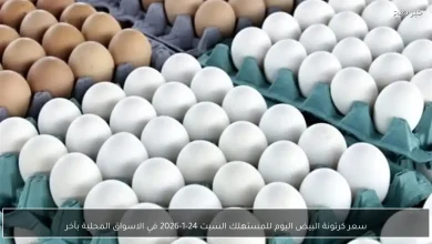 سعر كرتونة البيض اليوم للمستهلك السبت 24 يناير 2026 في الأسواق المحلية بأحدث تحديثات السوق
