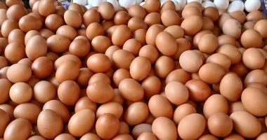 سعر كرتونة البيض في كفر الشيخ اليوم 17 يناير يصل إلى 125 جنيهًا