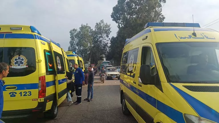 عثور مروّع على أربع جثث مجهولة الهوية ضمن ملاحات الإسكندرية يثير صدمة واسعة