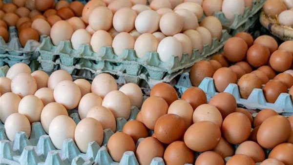 هدوء غير متوقع يسيطر على حركة سوق البيض اليوم في 19 يناير وسط تغيرات ملحوظة